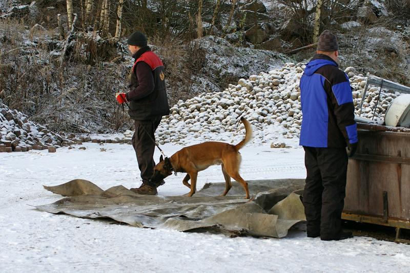 Soveltuvuustesti (55).jpg